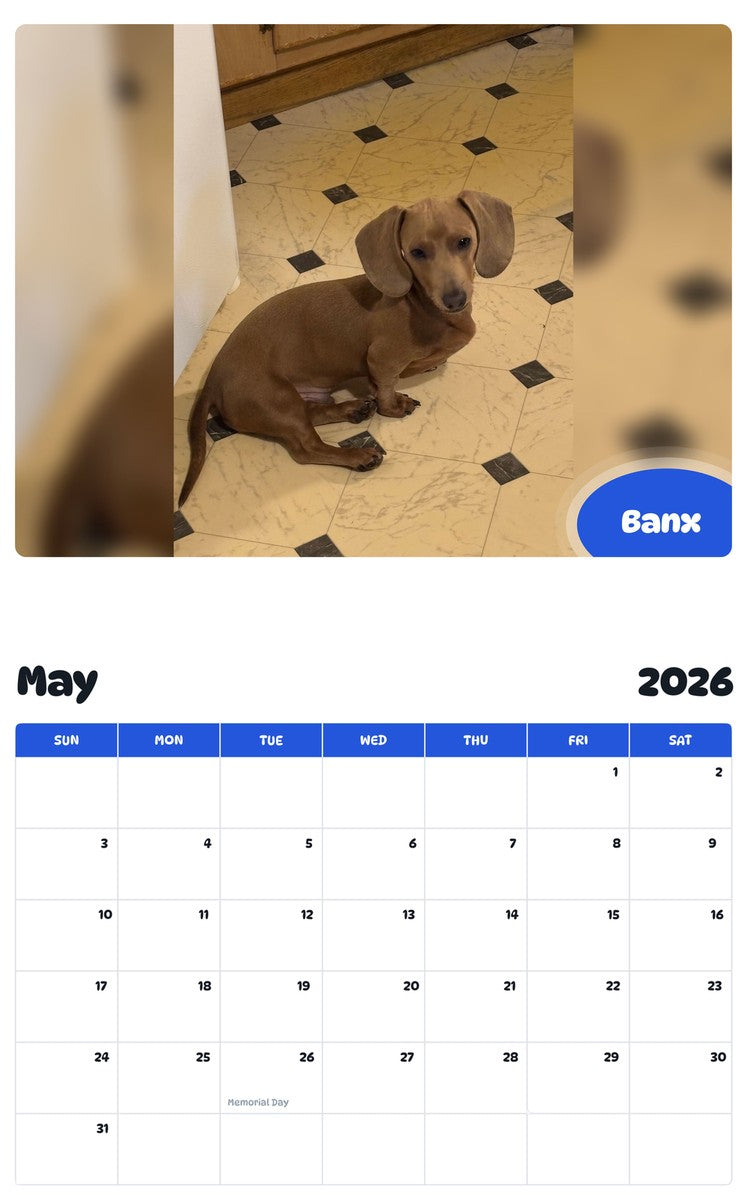 2026 - 2027 Banx - Pawidols Pet Calendar