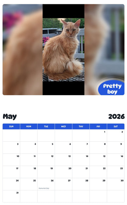 2026 - 2027 Pretty boy - Pawidols Pet Calendar
