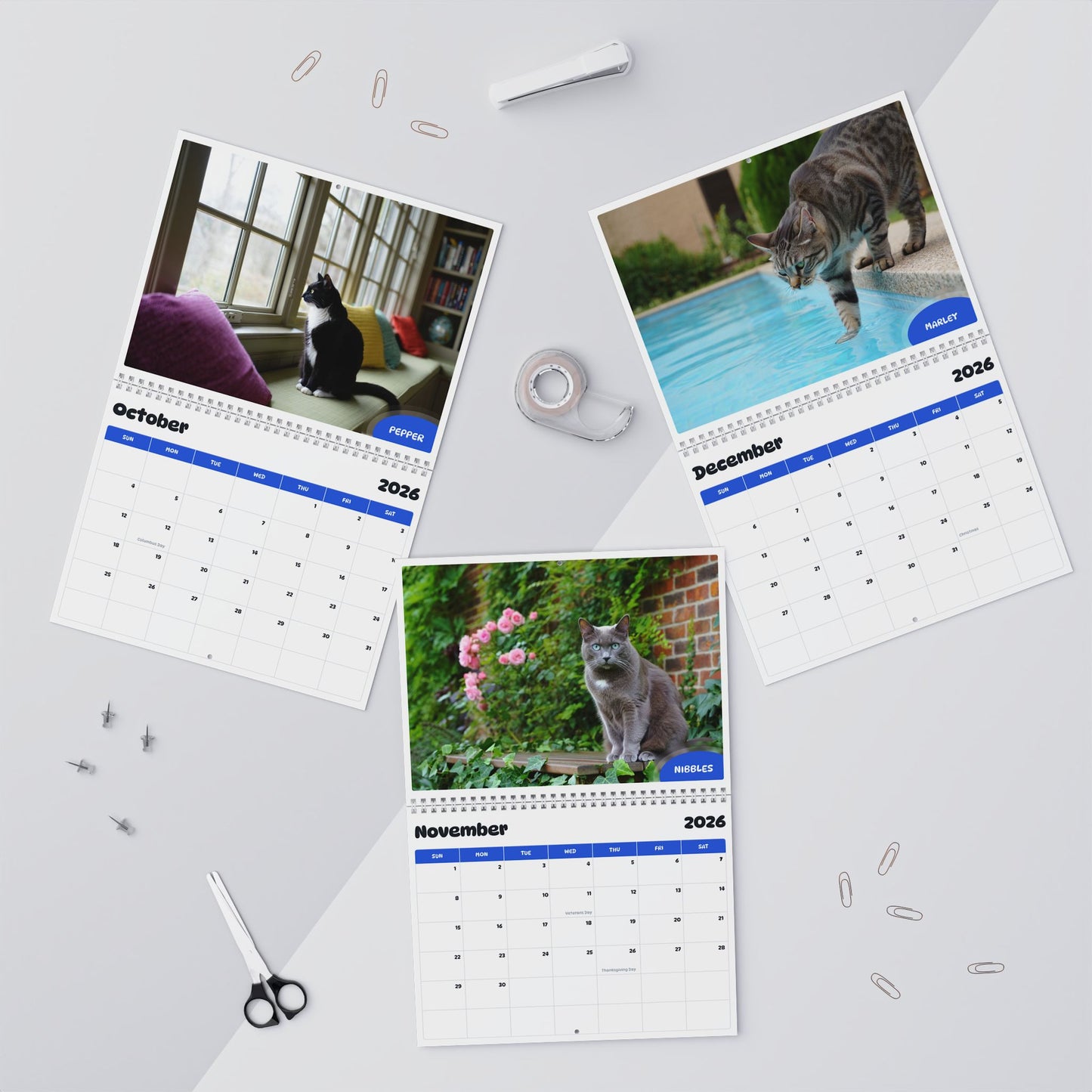 Paw Calendar Cat 2026-2027