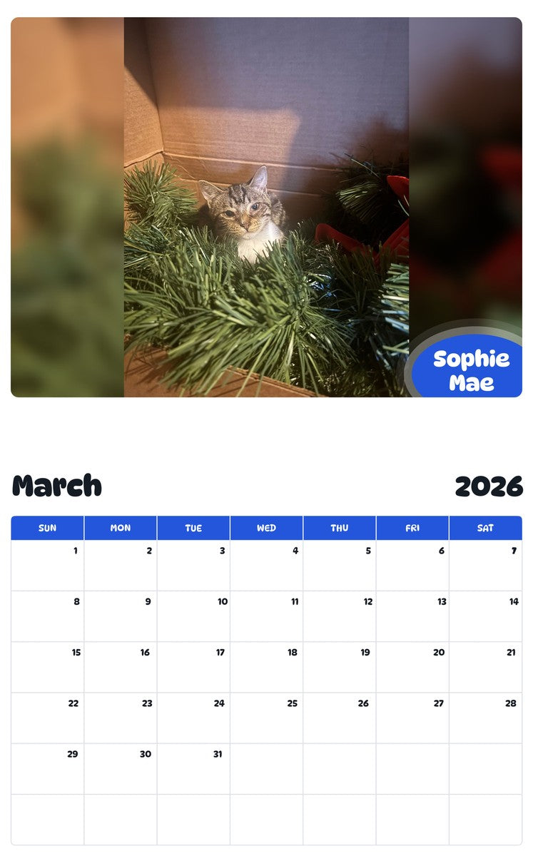 November 2025 - October 2026 Sophie Mae - Pawidols Pet Calendar
