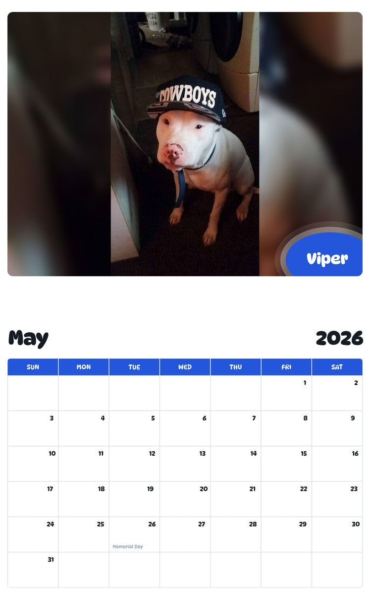 2026 - 2027 Viper - Pawidols Pet Calendar