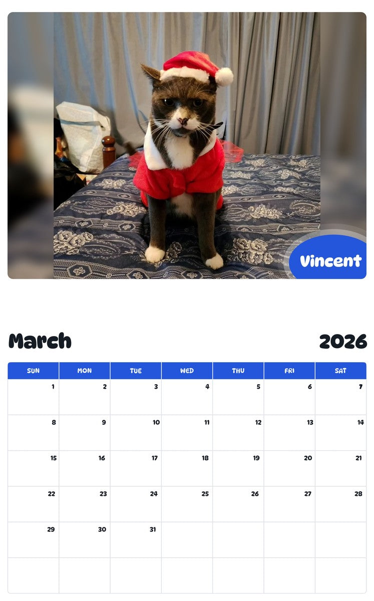 November 2025 - October 2026 Vincent - Pawidols Pet Calendar
