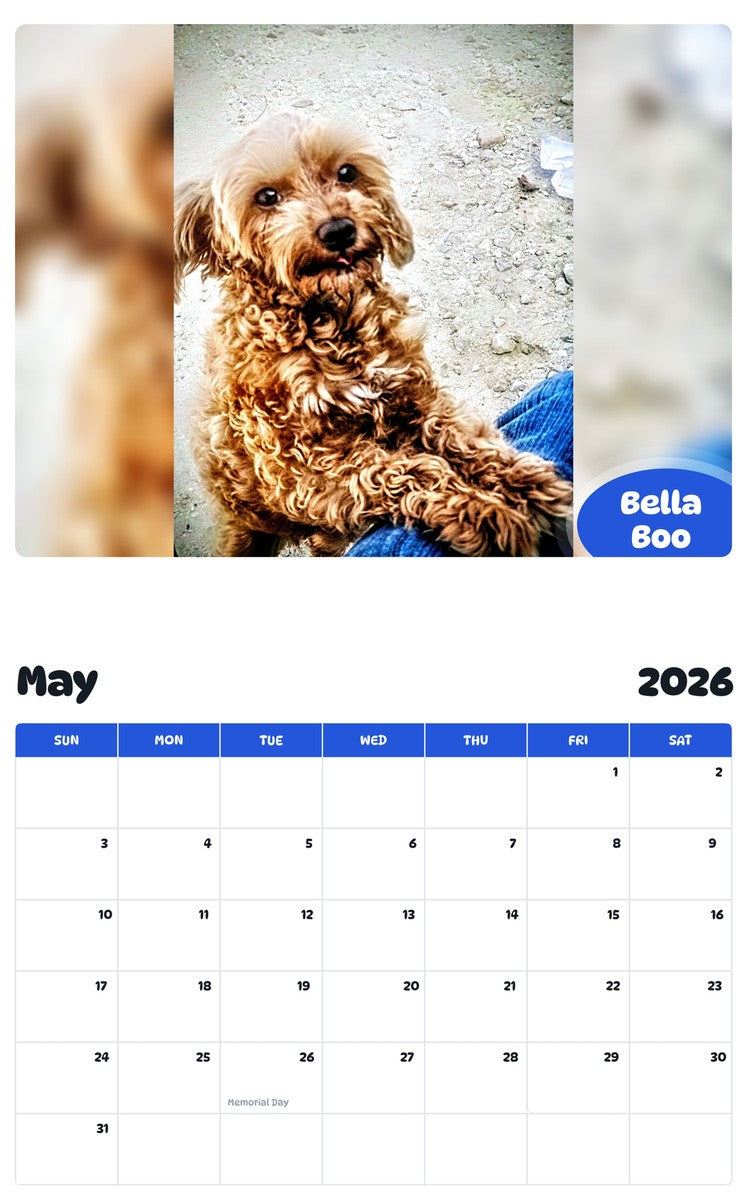 2026 - 2027 Bella Boo - Pawidols Pet Calendar