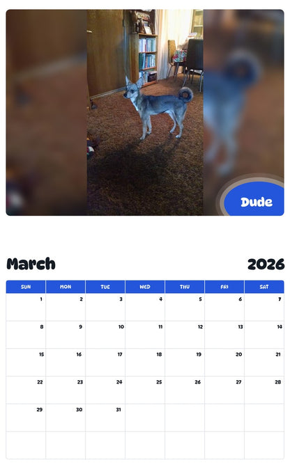November 2025 - October 2026 Dude - Pawidols Pet Calendar