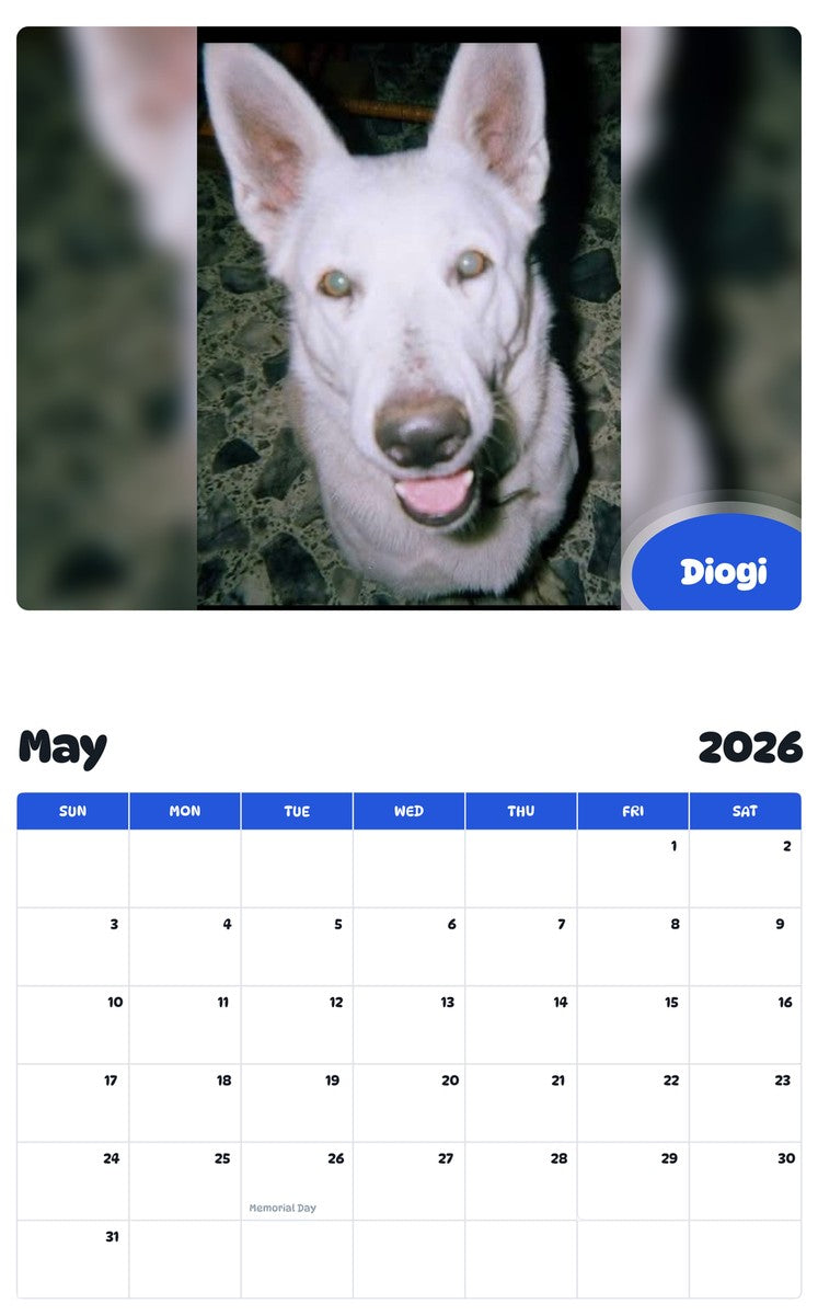 2026 - 2027 Diogi - Pawidols Pet Calendar