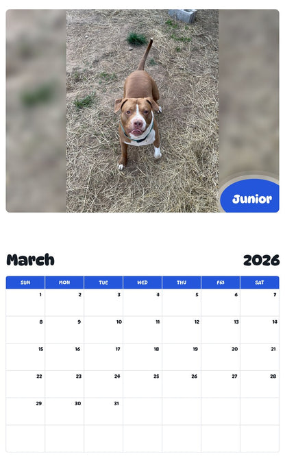 November 2025 - October 2026 Junior - Pawidols Pet Calendar