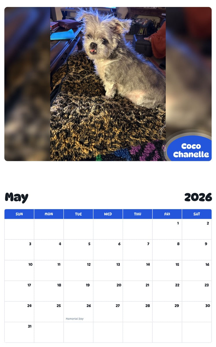 2026 - 2027 Coco Chanelle - Pawidols Pet Calendar