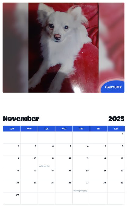 July 2025 - June 2026 BABYBOY - Pawidols Pet Calendar