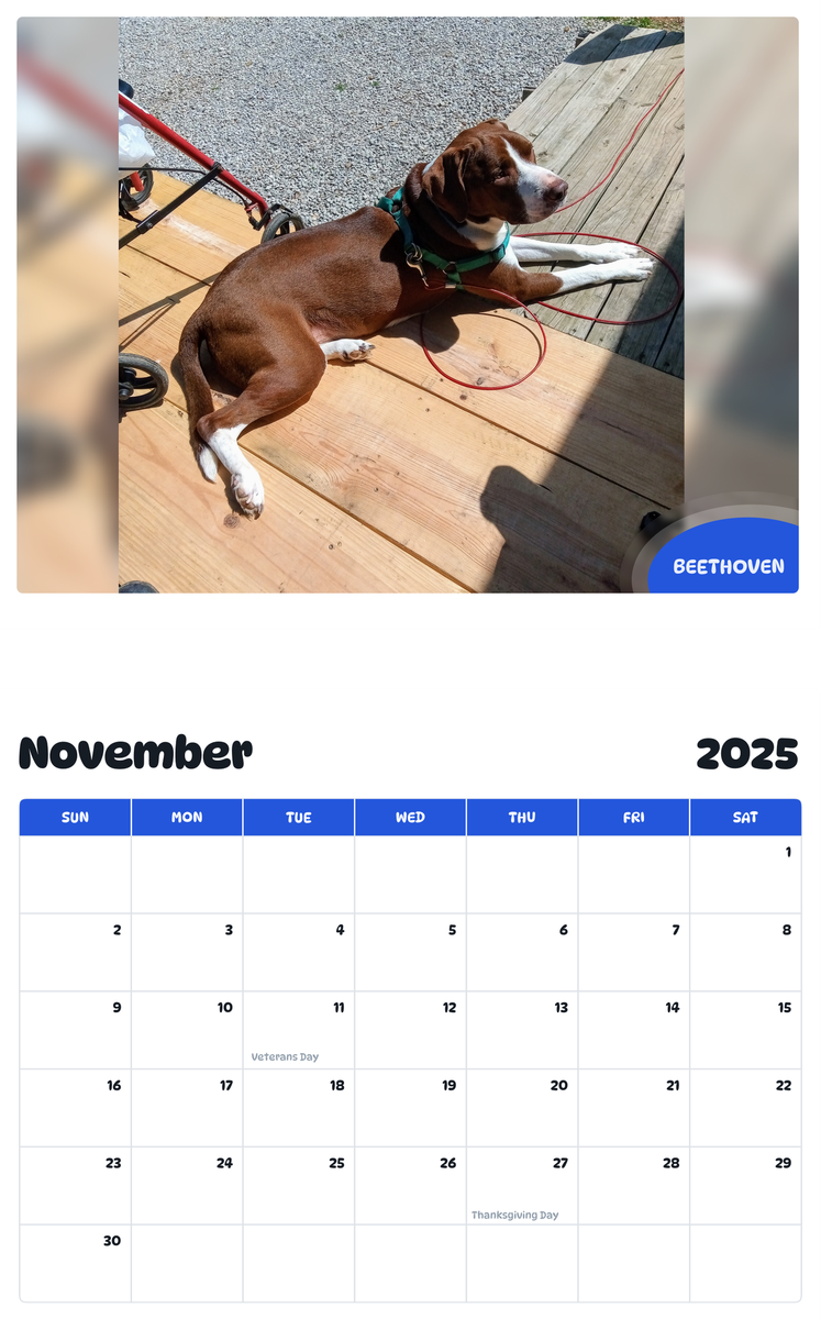 July 2025 - June 2026 Beethoven - Pawidols Pet Calendar