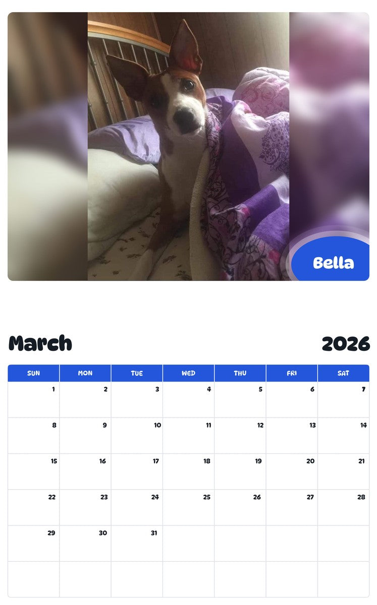 November 2025 - October 2026 Bella - Pawidols Pet Calendar