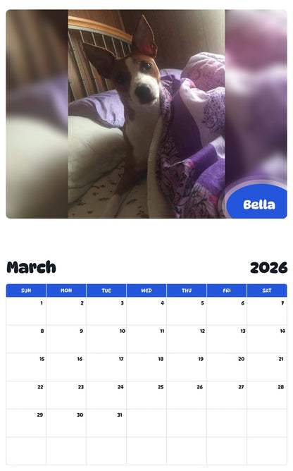 November 2025 - October 2026 Bella - Pawidols Pet Calendar