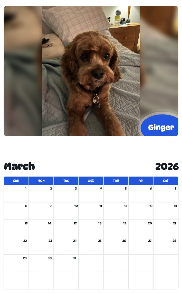 November 2025 - October 2026 Ginger - Pawidols Pet Calendar