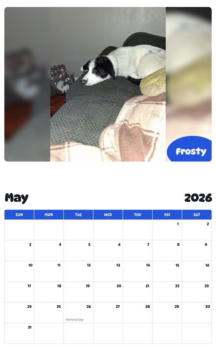2026 - 2027 Frosty - Pawidols Pet Calendar