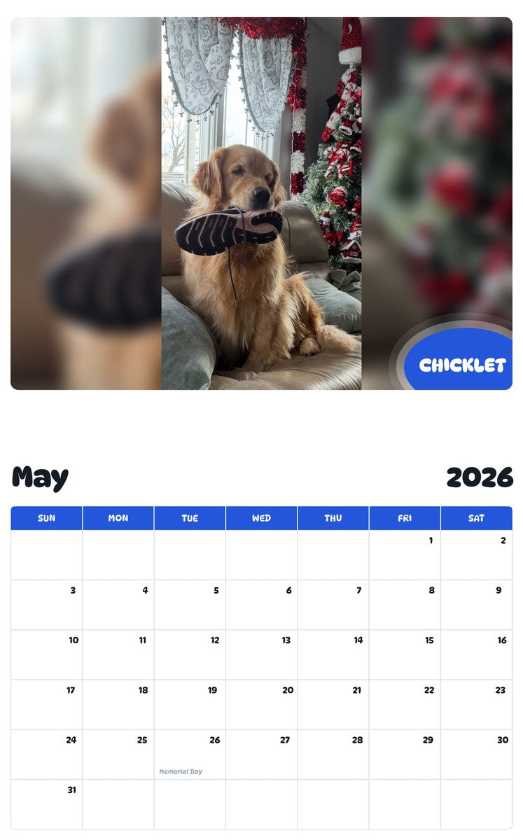 2026 - 2027 CHICKLET - Pawidols Pet Calendar