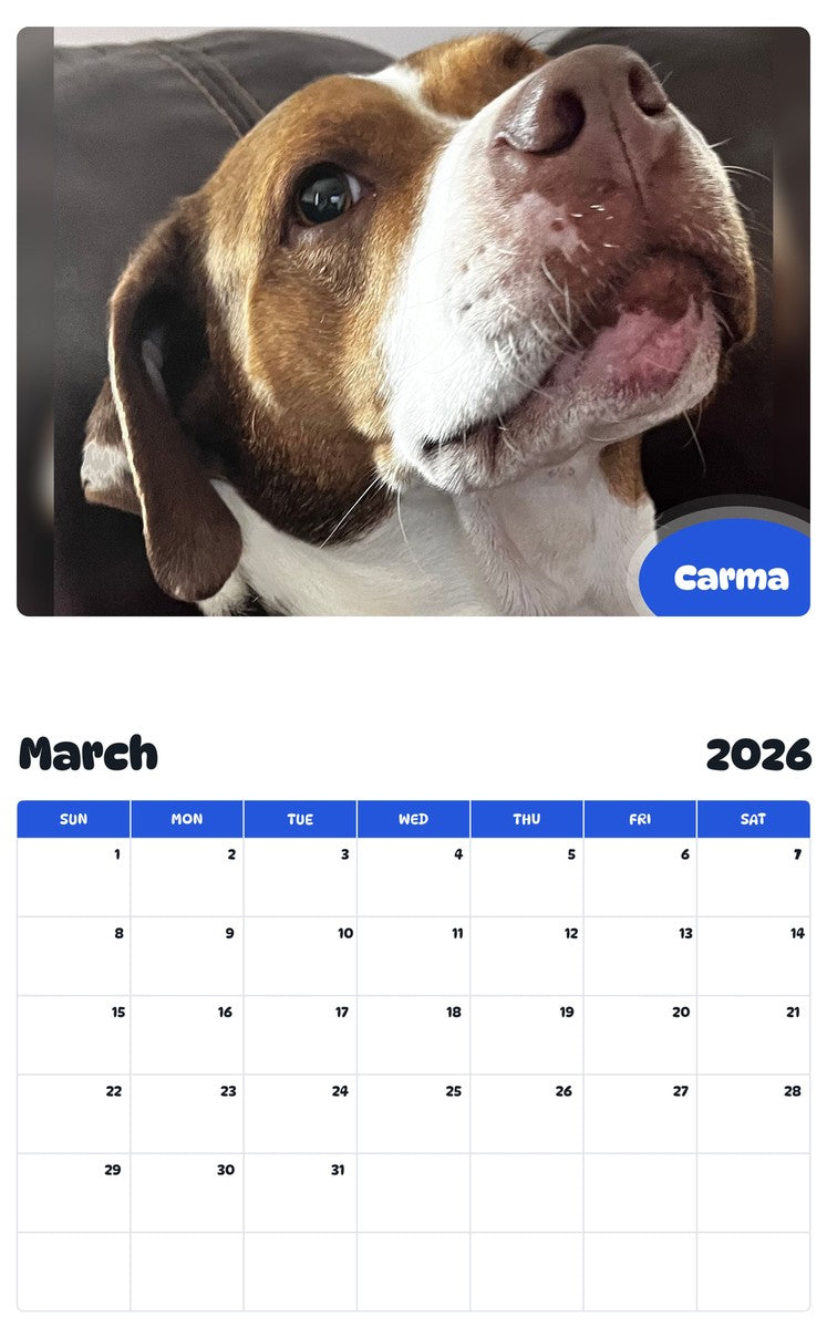November 2025 - October 2026 Carma - Pawidols Pet Calendar