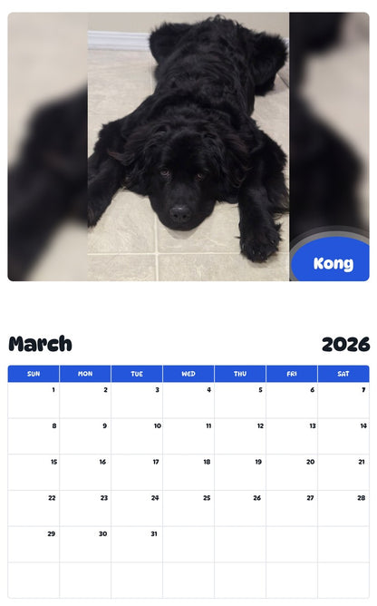 November 2025 - October 2026 Kong - Pawidols Pet Calendar