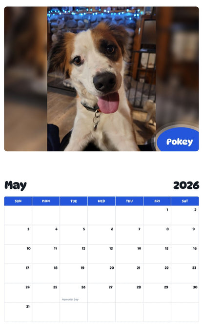2026 - 2027 Pokey - Pawidols Pet Calendar