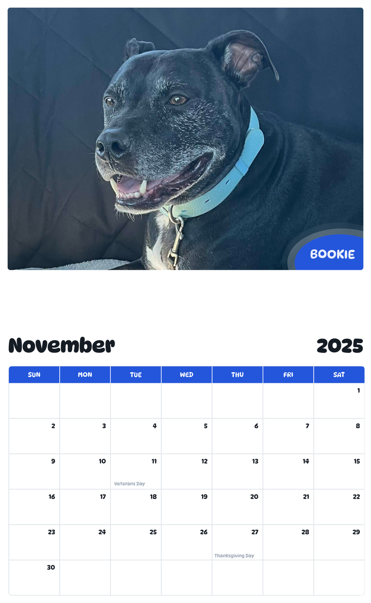 July 2025 - June 2026 Bookie - Pawidols Pet Calendar