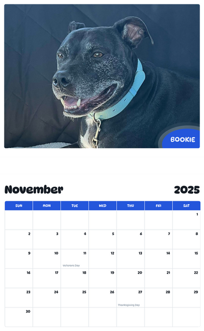 July 2025 - June 2026 Bookie - Pawidols Pet Calendar