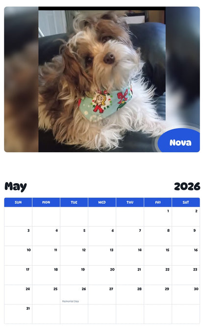 2026 - 2027 Nova - Pawidols Pet Calendar