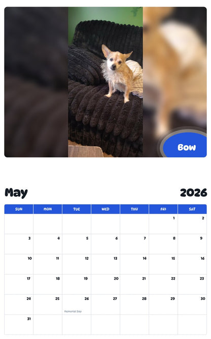 2026 - 2027 Bow - Pawidols Pet Calendar