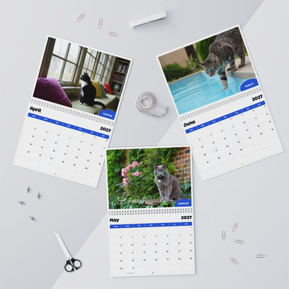 Paw Calendar Cat July 2026 - June 2027