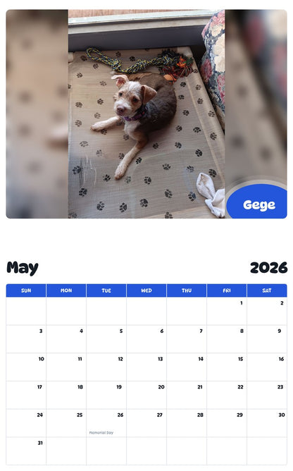 2026 - 2027 Gege - Pawidols Pet Calendar