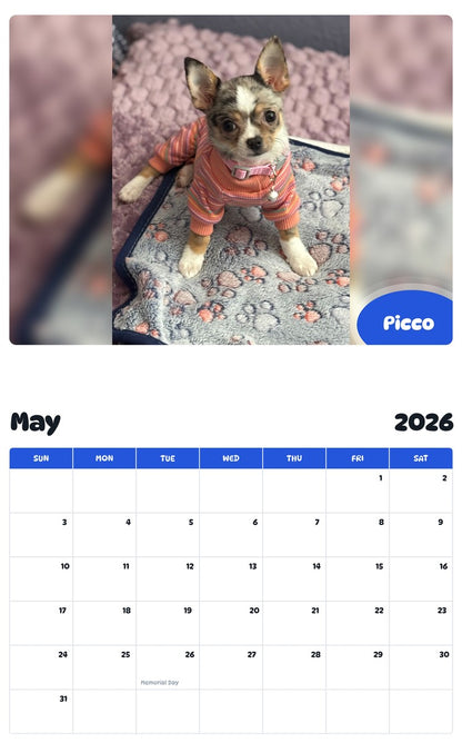 2026 - 2027 Picco - Pawidols Pet Calendar