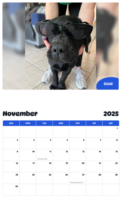 July 2025 - June 2026 Bear - Pawidols Pet Calendar