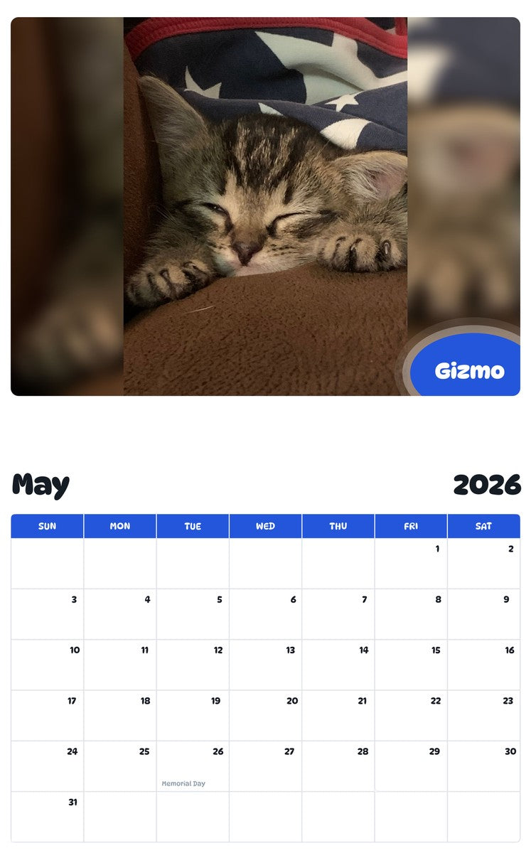 2026 - 2027 Gizmo - Pawidols Pet Calendar