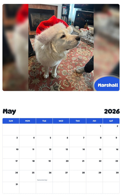 2026 - 2027 Marshall - Pawidols Pet Calendar