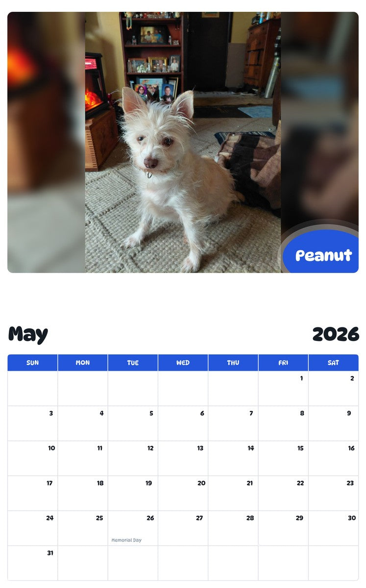 2026 - 2027 Peanut - Pawidols Pet Calendar