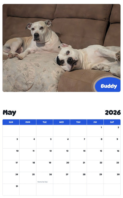 2026 - 2027 Buddy - Pawidols Pet Calendar
