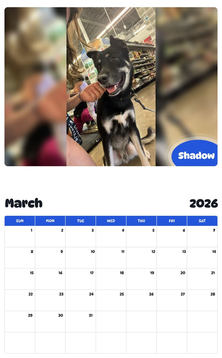 November 2025 - October 2026 Shadow - Pawidols Pet Calendar