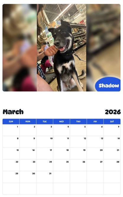 November 2025 - October 2026 Shadow - Pawidols Pet Calendar