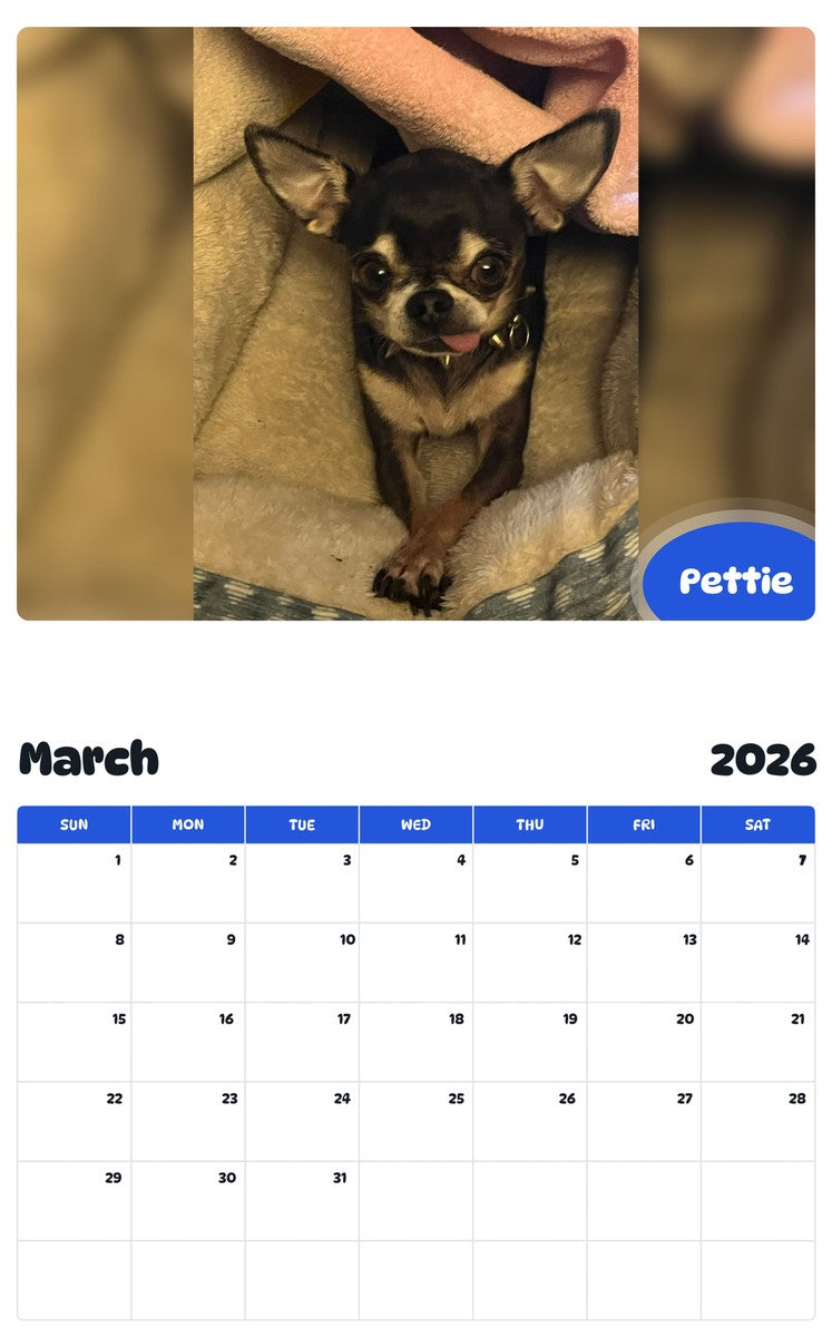 November 2025 - October 2026 Pettie - Pawidols Pet Calendar