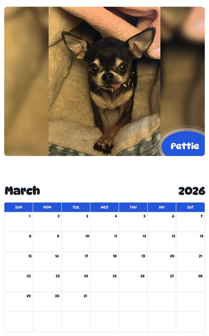 November 2025 - October 2026 Pettie - Pawidols Pet Calendar