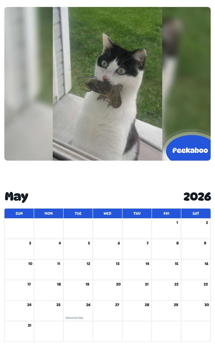 2026 - 2027 Peekaboo - Pawidols Pet Calendar