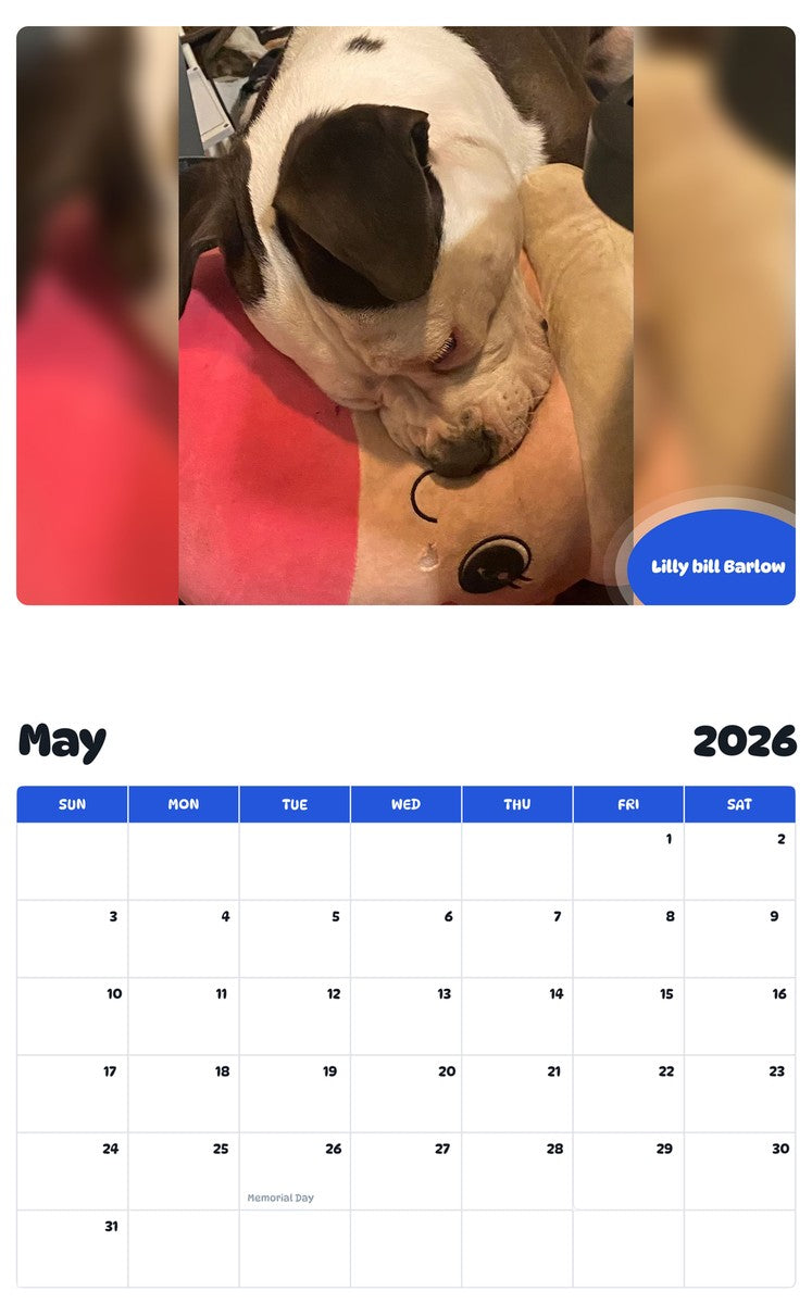 2026 - 2027 Lilly bill Barlow - Pawidols Pet Calendar