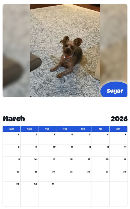 November 2025 - October 2026 Sugar - Pawidols Pet Calendar