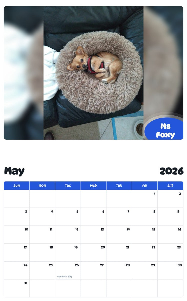 2026 - 2027 Ms Foxy - Pawidols Pet Calendar