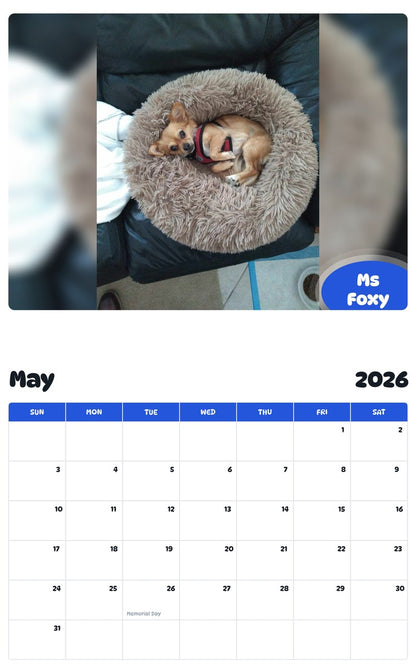 2026 - 2027 Ms Foxy - Pawidols Pet Calendar
