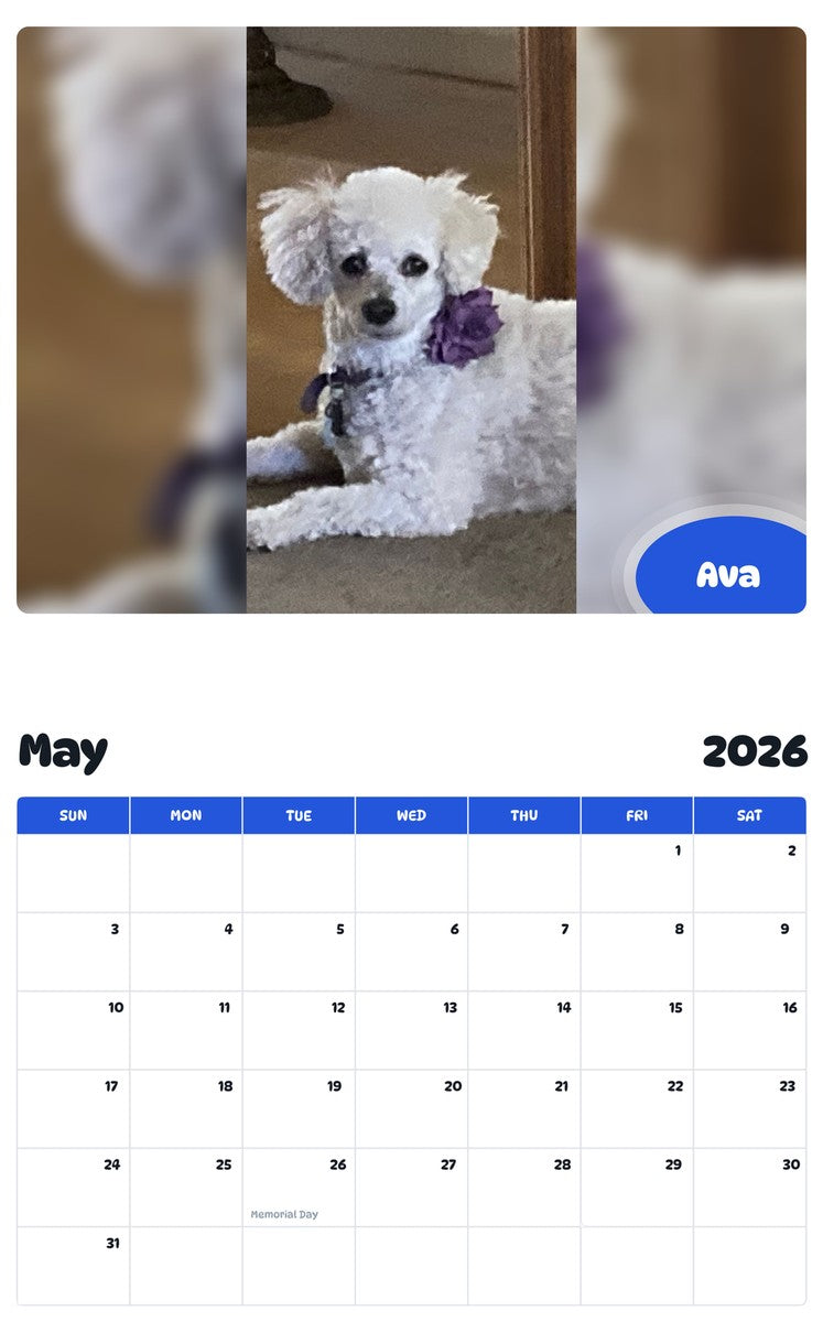 2026 - 2027 Ava - Pawidols Pet Calendar