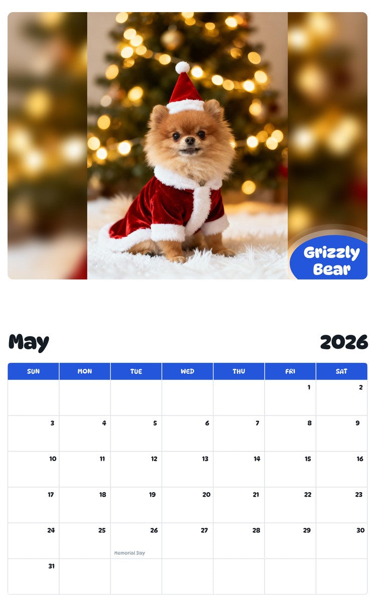 2026 - 2027 Grizzly Bear - Pawidols Pet Calendar