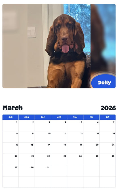 November 2025 - October 2026 Dolly - Pawidols Pet Calendar