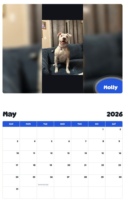 2026 - 2027 Molly - Pawidols Pet Calendar
