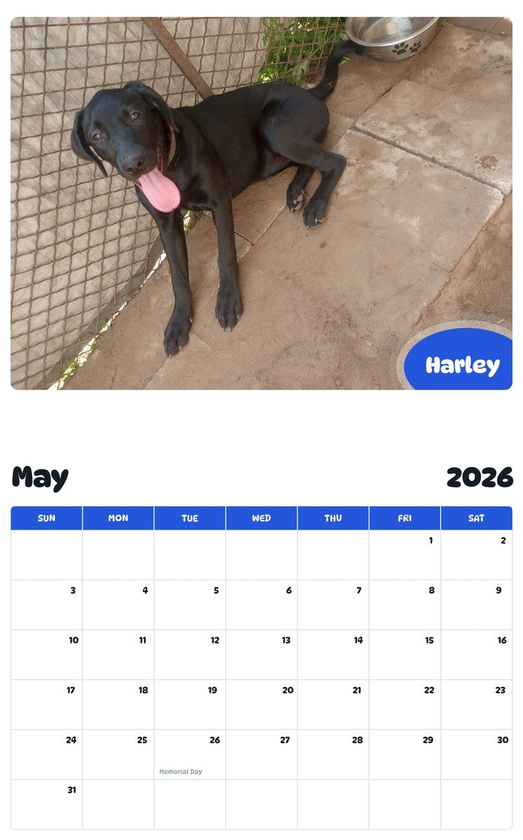 2026 - 2027 Harley - Pawidols Pet Calendar