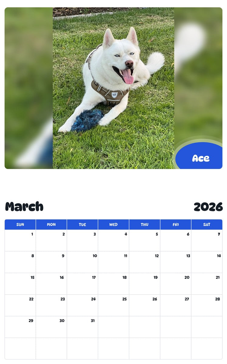 November 2025 - October 2026 Ace - Pawidols Pet Calendar