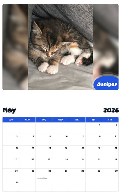 2026 - 2027 Juniper - Pawidols Pet Calendar