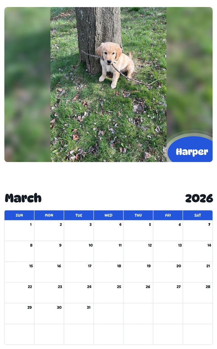 November 2025 - October 2026 Harper - Pawidols Pet Calendar